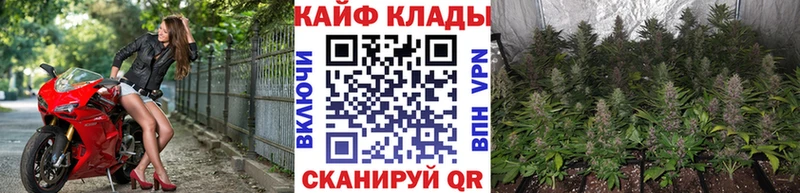 Купить закладку Амфетамин  Конопля  Меф мяу мяу  ГАШ  СК  Грязи
