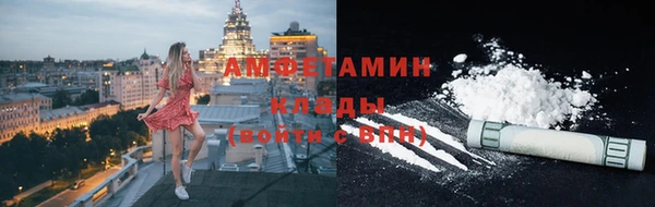 прущие грибы Пестово
