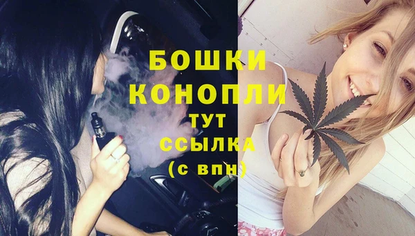 PSILOCYBIN Переславль-Залесский